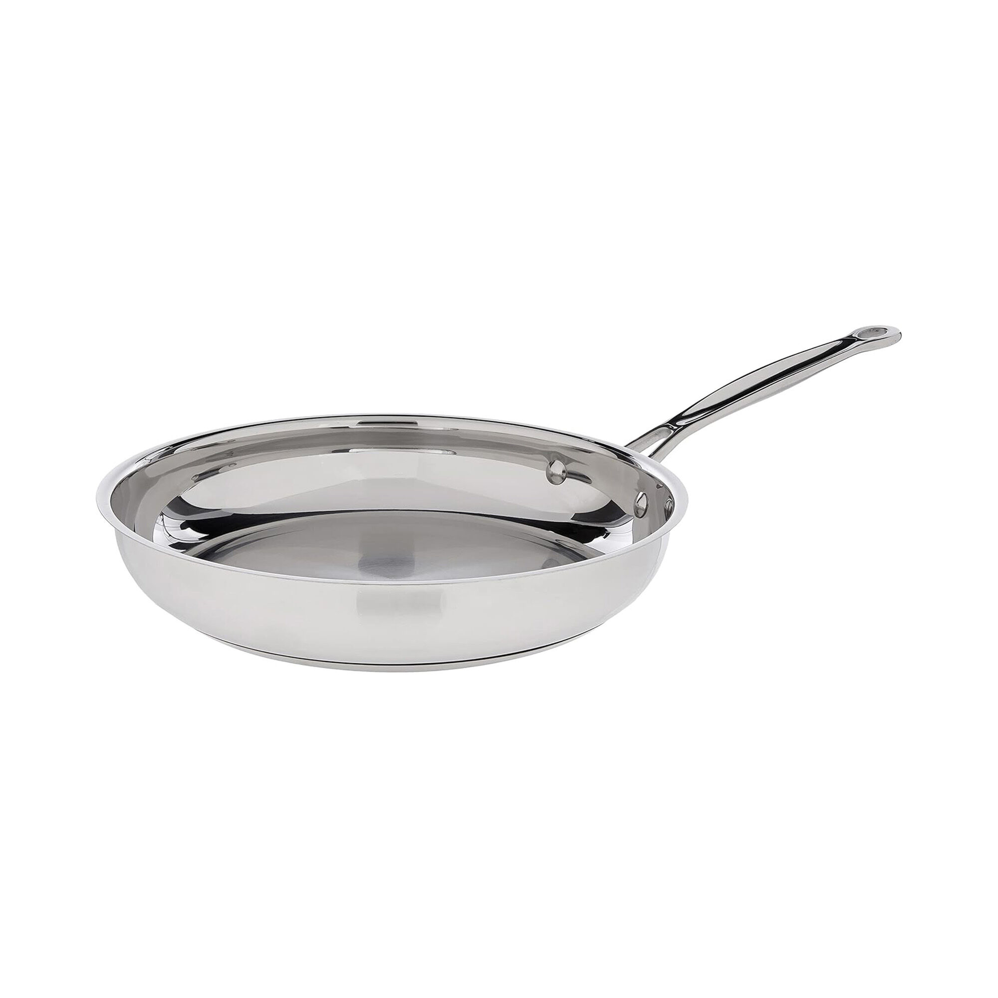 10” (24 cm) Stainless Steel Skillet