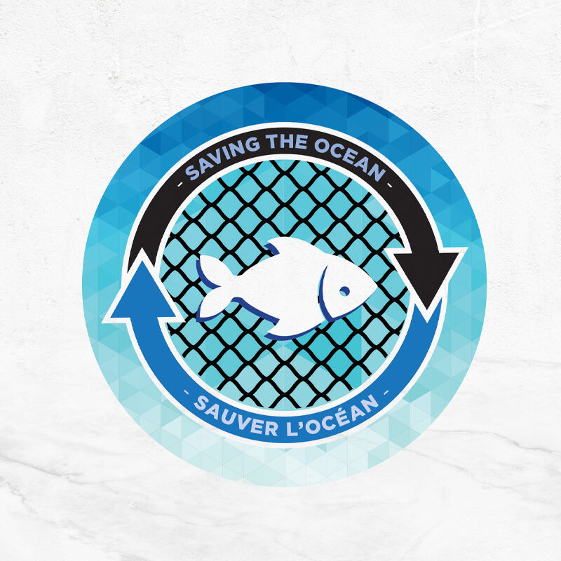 Blue – Oceanware Solid Turner — Catalog Product - Image 3