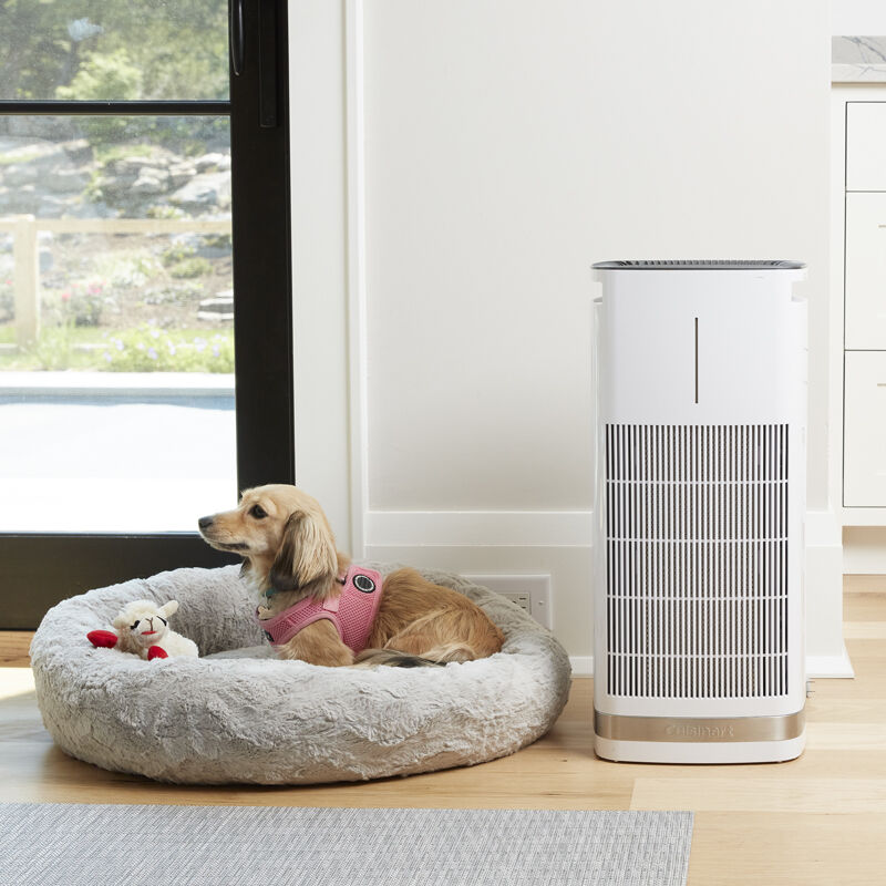 Cuisinart PuRXium Freestanding Air Purifier — Filter - Image 2